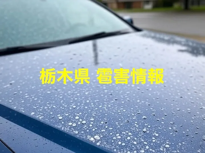 【2025年最新】栃木県の雹害：イチゴや米から家・車まで被害事例と対策まとめ