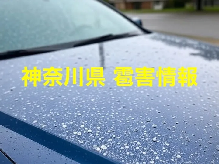【2025年最新】神奈川県の雹害最新情報：農業・建物・車への被害と実践的な対策（2022年～過去10年の事例）