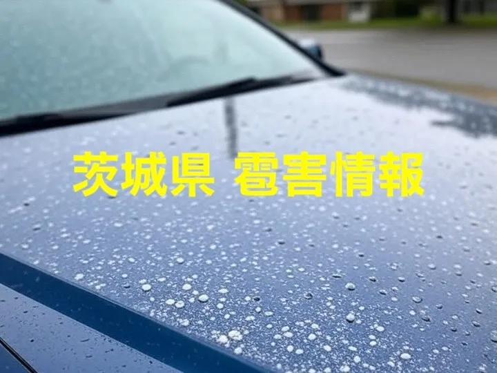 【2025年最新】茨城県の雹害：メロンや米から家・車までガッチリ解説だっぺ！被害事例と対策まとめ