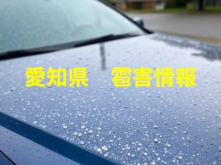 【2025年最新】愛知県の雹害！過去10年の農業・建物・車両被害と気象データでバッチリ対策！